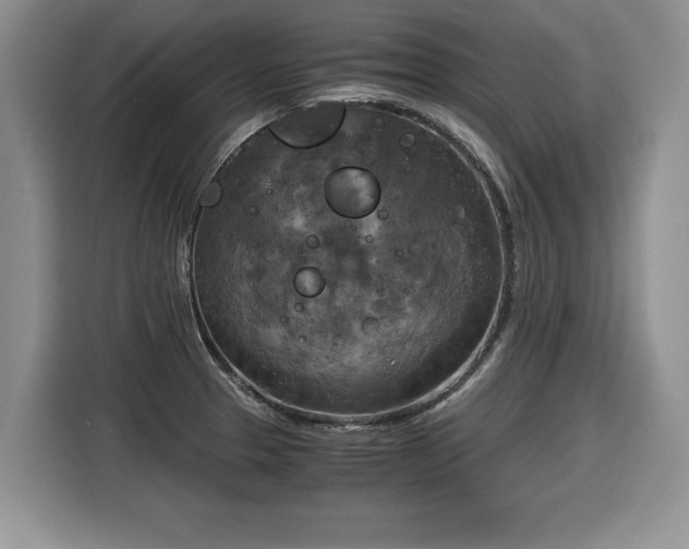 X0000116021329200911271108