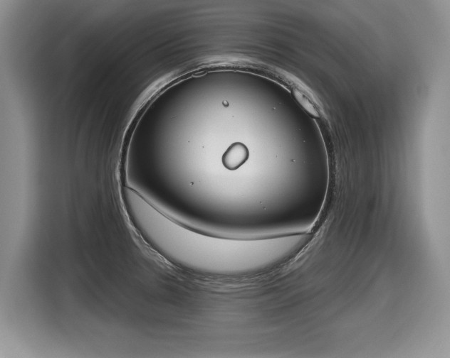 X0000116021330200911271108