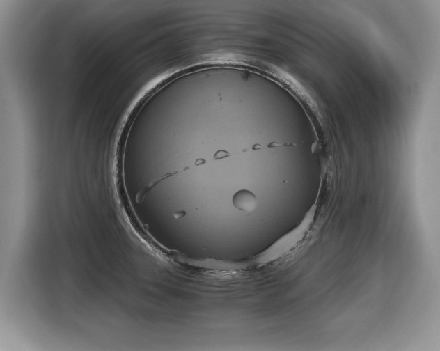 X0000116021331200911271108