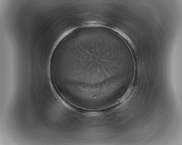 X0000116021333200911271108