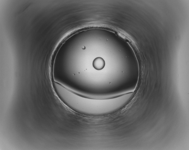 X0000116021334200911271108