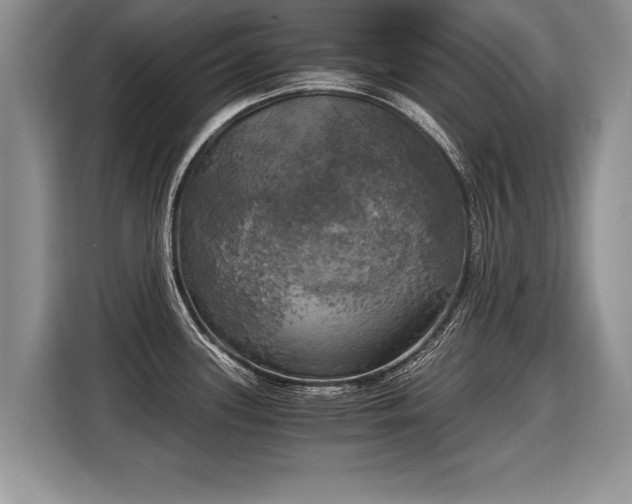 X0000116021339200911271108