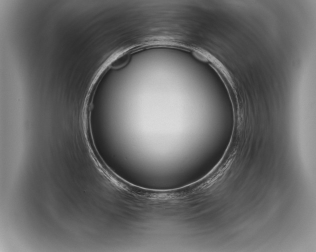 X0000116021341200911271108