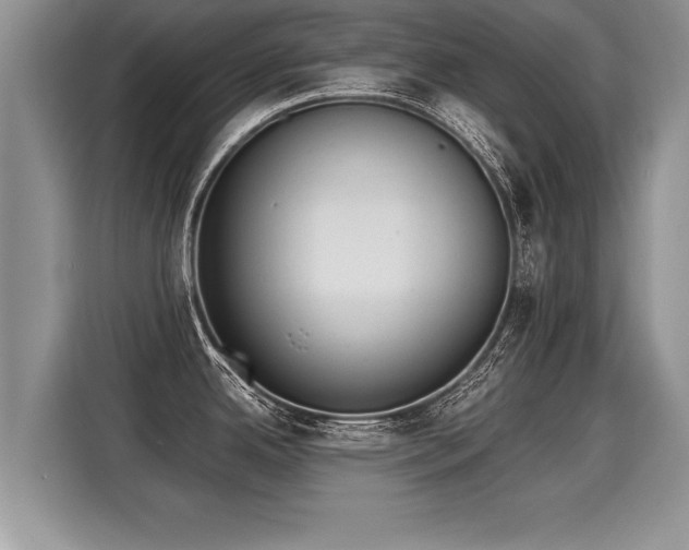 X0000116021342200911271108