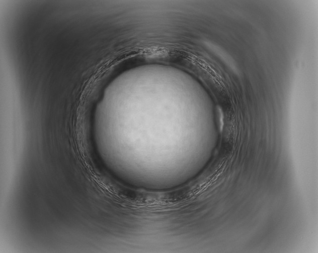 X0000116021345200911271108