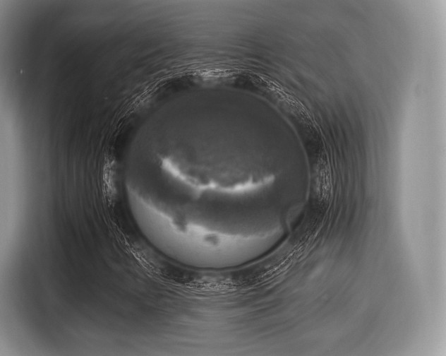 X0000116021346200911271108