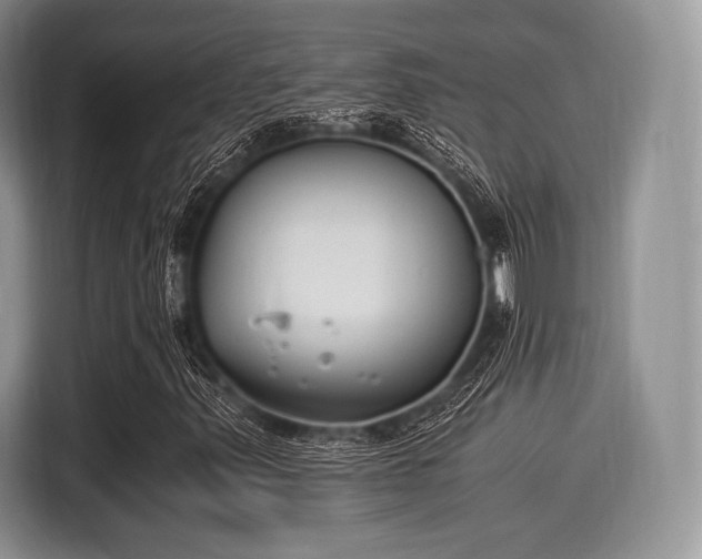 X0000116021347200911271108