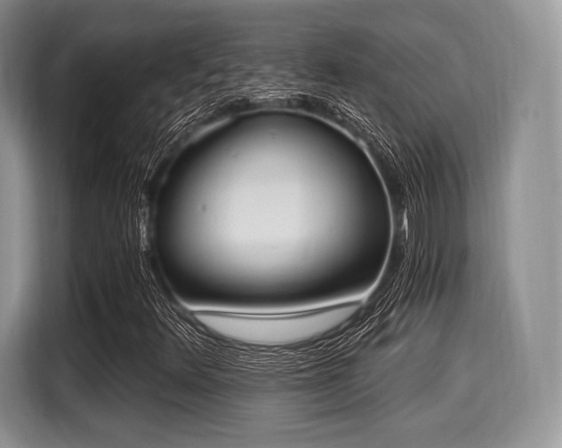 X0000116021348200911271108