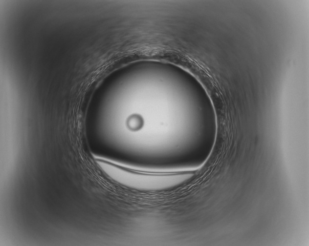 X0000116021349200911271108