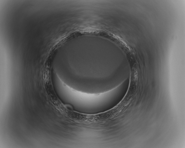 X0000116021350200911271108