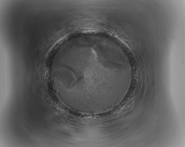 X0000116021351200911271108