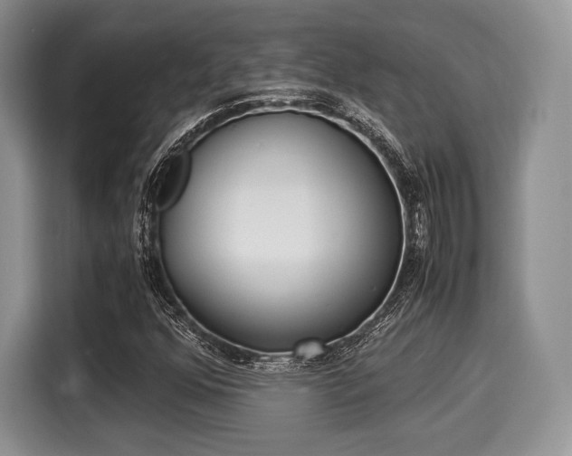 X0000116021352200911271108