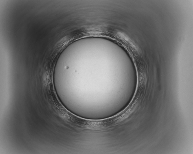 X0000116021353200911271108