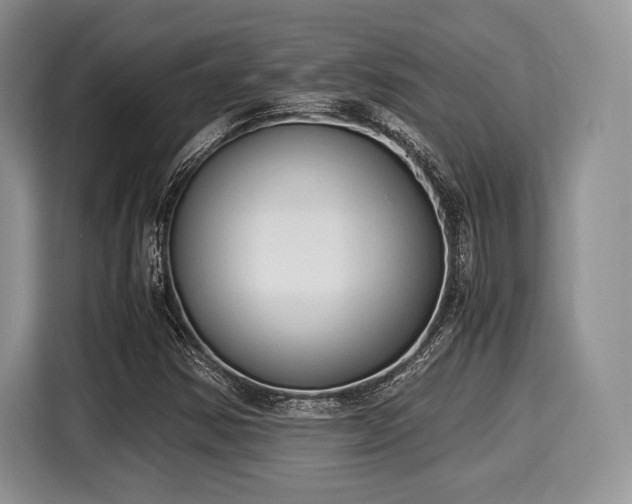 X0000116021354200911271108