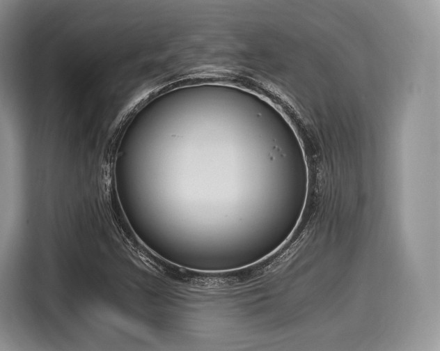 X0000116021355200911271108