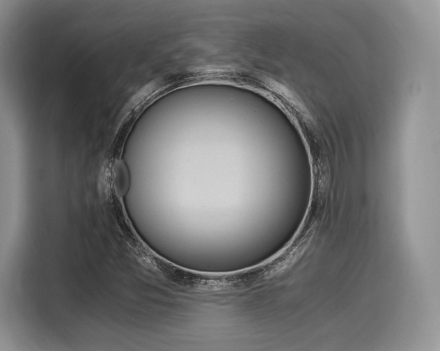 X0000116021357200911271107