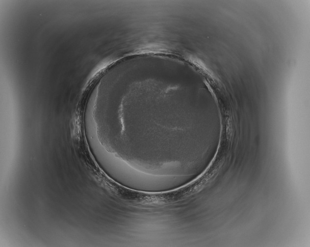 X0000116021358200911271107