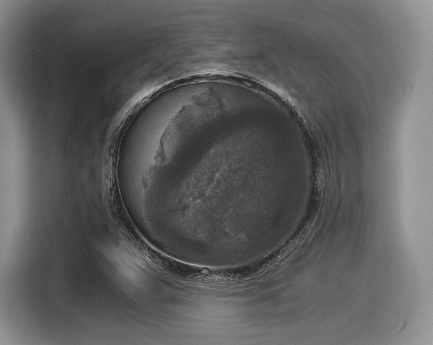 X0000116021359200911271107