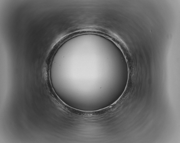 X0000116021360200911271107