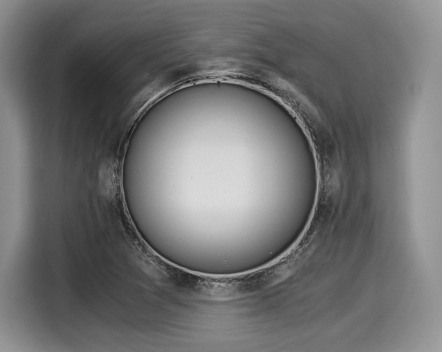 X0000116021361200911271107