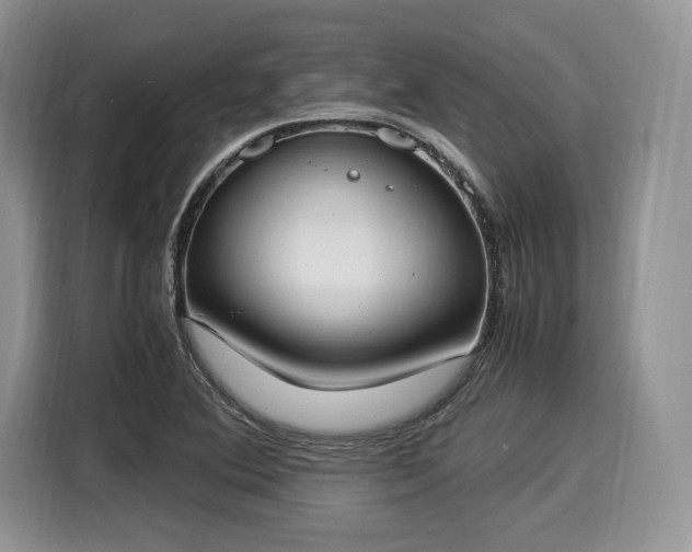 X0000116021364200911271107