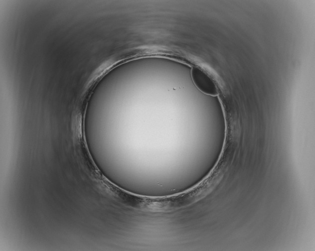 X0000116021365200911271107