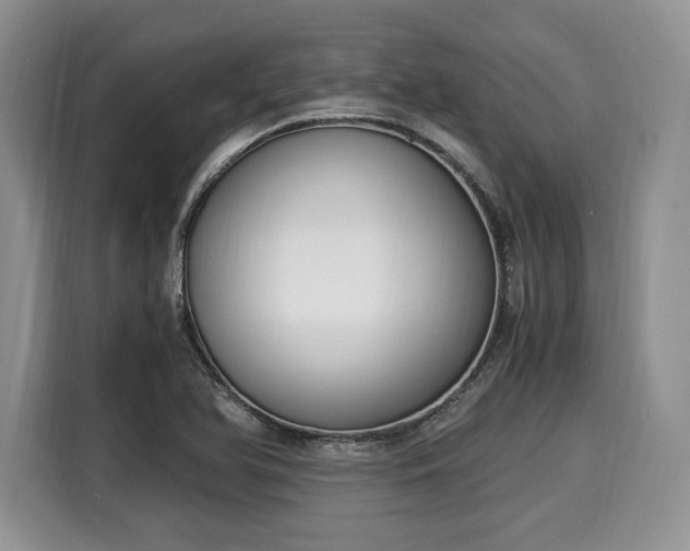 X0000116021366200911271107