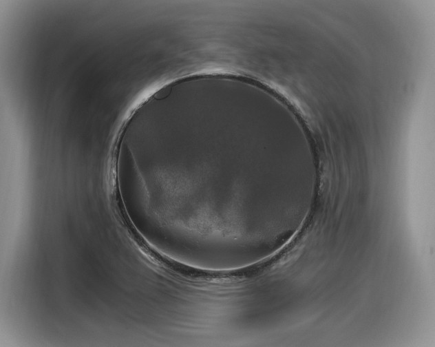 X0000116021367200911271107