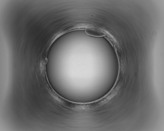 X0000116021369200911271107