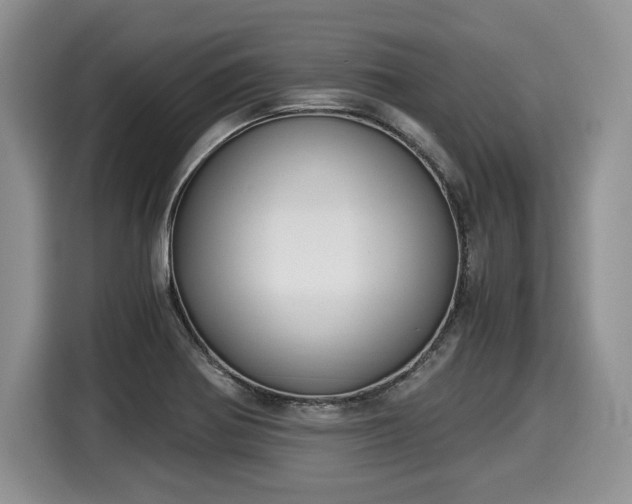 X0000116021370200911271107