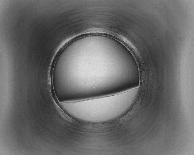 X0000116021372200911271107