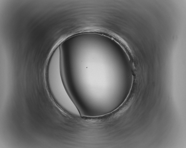 X0000116021373200911271107