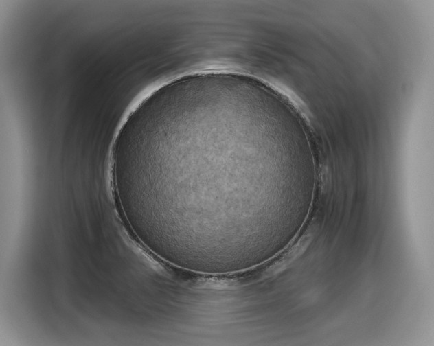 X0000116021374200911271107