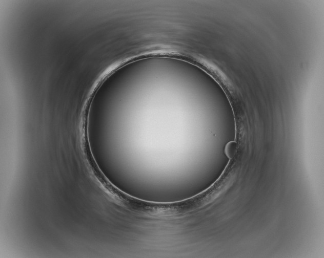 X0000116021375200911271107