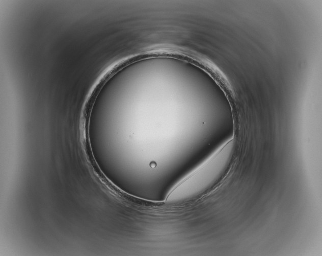 X0000116021376200911271107