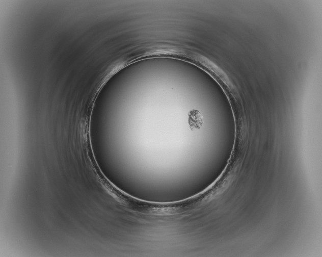 X0000116021377200911271107