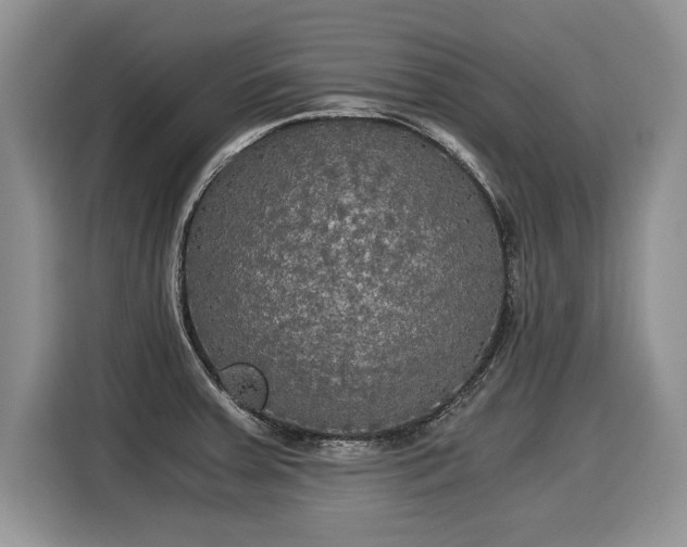 X0000116021379200911271107