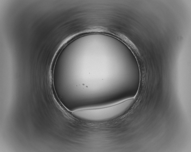 X0000116021380200911271107