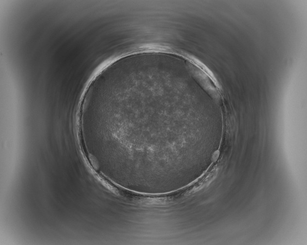 X0000116021381200911271107