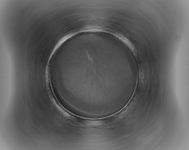 X0000116021382200911271107