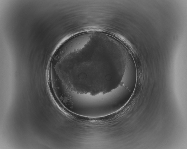 X0000116021383200911271107