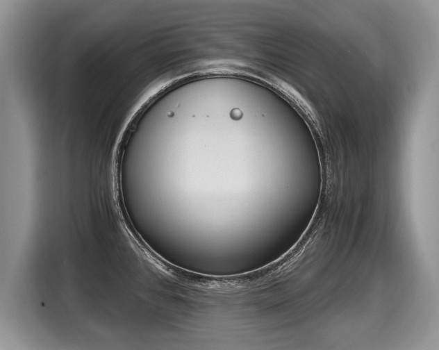 X0000116021384200911271107