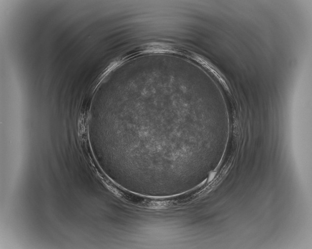 X0000116021385200911271107