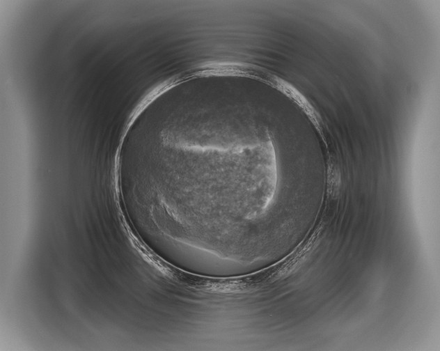 X0000116021386200911271107