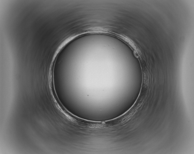 X0000116021387200911271107