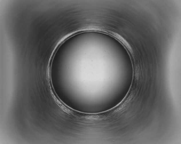 X0000116021388200911271107