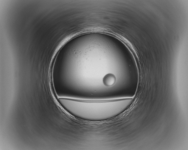 X0000116021389200911271107