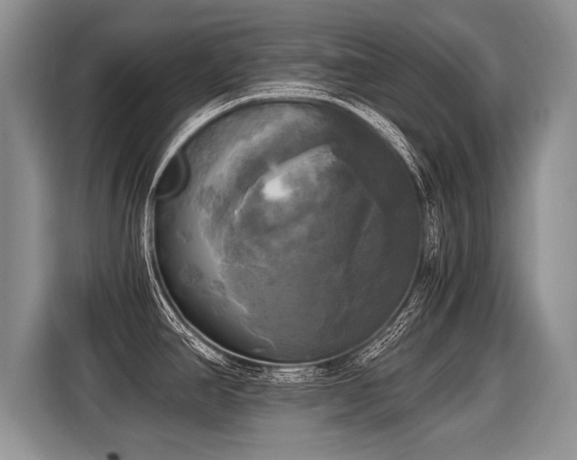 X0000116021390200911271107