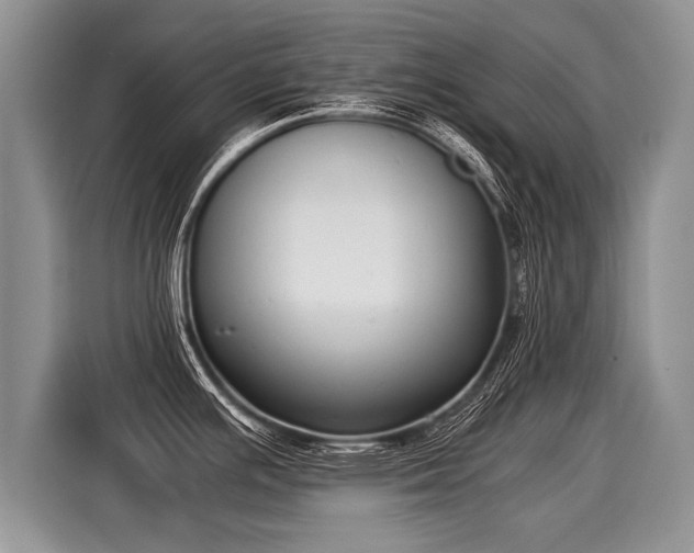 X0000116021391200911271107