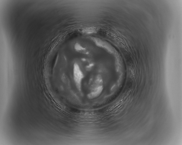 X0000116021393200911271106